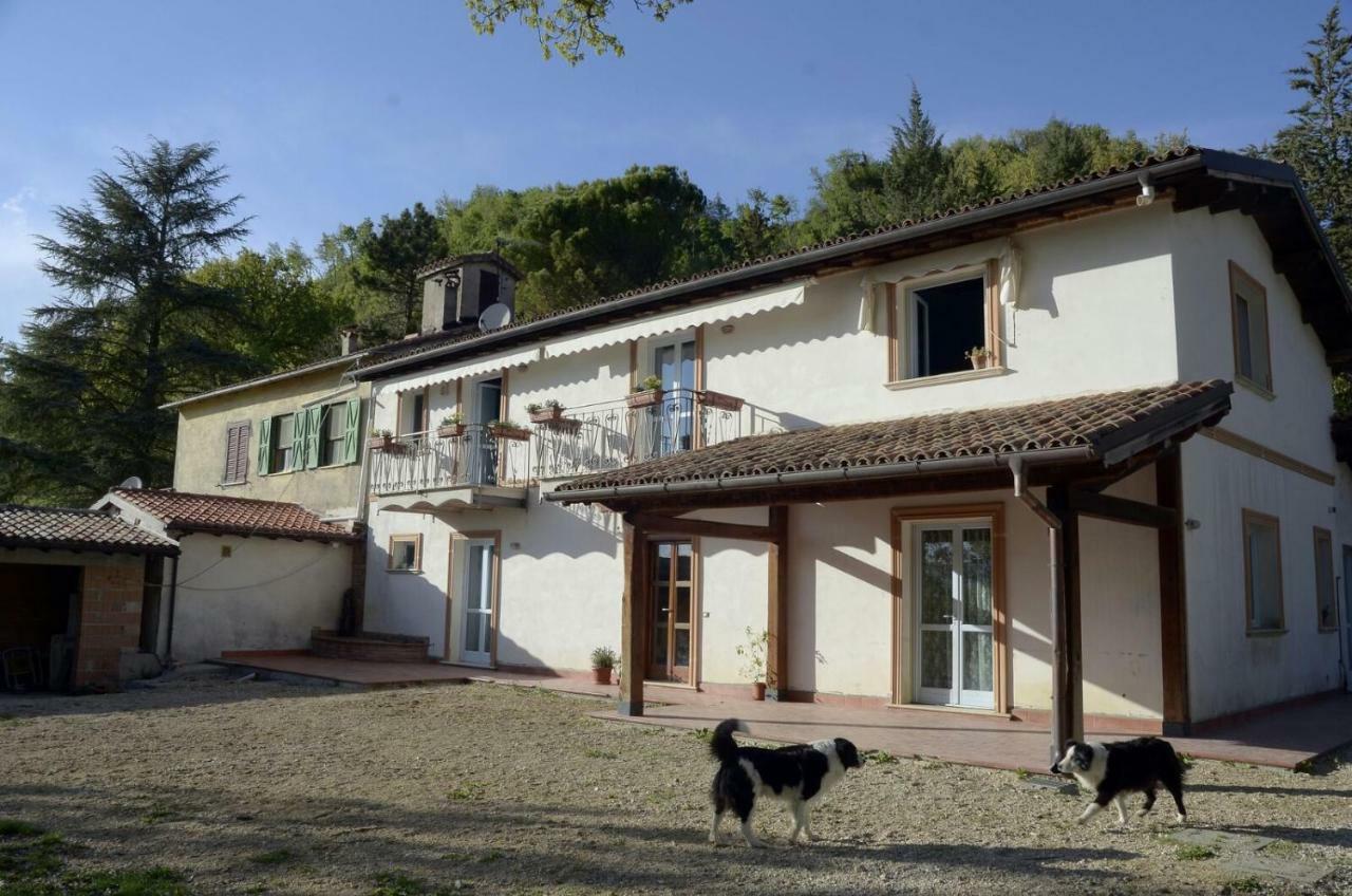 Bed and Breakfast Rifugio Nel Bosco Rieti Zewnętrze zdjęcie